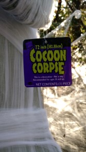 IMG_20151017_172220753