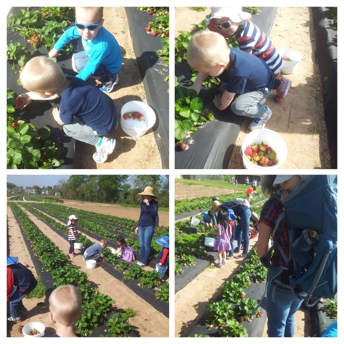 20160314_105139-COLLAGE